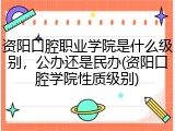 资阳口腔职业学院是什么级别，公办还是民办(资阳口腔学院性质级别)