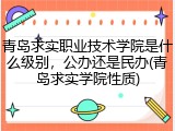 青岛求实职业技术学院是什么级别，公办还是民办(青岛求实学院性质)