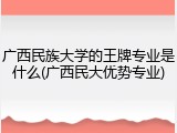 广西民族大学的王牌专业是什么(广西民大优势专业)