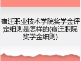 宿迁职业技术学院奖学金评定细则是怎样的(宿迁职院奖学金细则)