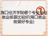 海口经济学院哪个专业毕业就业前景比较好(海口就业前景好专业)
