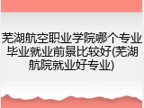 芜湖航空职业学院哪个专业毕业就业前景比较好(芜湖航院就业好专业)