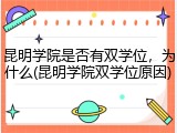 昆明学院是否有双学位，为什么(昆明学院双学位原因)