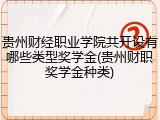 贵州财经职业学院共开设有哪些类型奖学金(贵州财职奖学金种类)