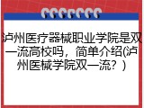 泸州医疗器械职业学院是双一流高校吗，简单介绍(泸州医械学院双一流？)