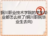 铜川职业技术学院的学生毕业都怎么样了(铜川职院毕业生去向)