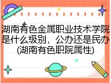 湖南有色金属职业技术学院是什么级别，公办还是民办(湖南有色职院属性)