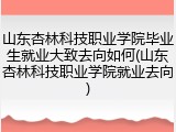 山东杏林科技职业学院毕业生就业大致去向如何(山东杏林科技职业学院就业去向)