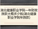 湖北健康职业学院一年财政拨款大概多少钱(湖北健康职业学院年拨款)
