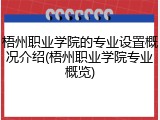 梧州职业学院的专业设置概况介绍(梧州职业学院专业概览)
