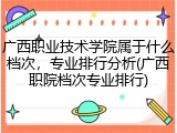 广西职业技术学院属于什么档次，专业排行分析(广西职院档次专业排行)