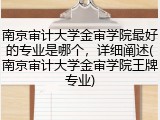 南京审计大学金审学院最好的专业是哪个，详细阐述(南京审计大学金审学院王牌专业)
