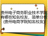 贵州电子商务职业技术学院有哪些知名校友，简单分析(贵州电商学院知名校友)