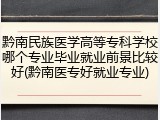黔南民族医学高等专科学校哪个专业毕业就业前景比较好(黔南医专好就业专业)