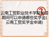 云南工贸职业技术学院就读期间可以申请哪些奖学金(云南工贸奖学金申请)