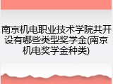 南京机电职业技术学院共开设有哪些类型奖学金(南京机电奖学金种类)