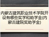 内蒙古建筑职业技术学院开设有哪些奖学和助学金(内蒙古建院奖助学金)