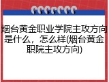 烟台黄金职业学院主攻方向是什么，怎么样(烟台黄金职院主攻方向)