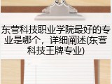 东营科技职业学院最好的专业是哪个，详细阐述(东营科技王牌专业)