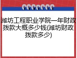 潍坊工程职业学院一年财政拨款大概多少钱(潍坊财政拨款多少)