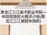 黑龙江三江美术职业学院一年财政拨款大概多少钱(黑龙江三江美院年拨款)