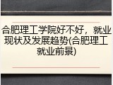 合肥理工学院好不好，就业现状及发展趋势(合肥理工就业前景)