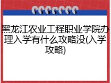 黑龙江农业工程职业学院办理入学有什么攻略没(入学攻略)