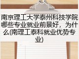 南京理工大学泰州科技学院哪些专业就业前景好，为什么(南理工泰科就业优势专业)