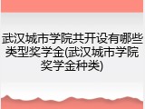 武汉城市学院共开设有哪些类型奖学金(武汉城市学院奖学金种类)
