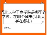 河北大学工商学院是哪里的学校，在哪个城市(河北大学在哪市)