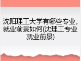 沈阳理工大学有哪些专业，就业前景如何(沈理工专业就业前景)
