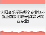 沈阳音乐学院哪个专业毕业就业前景比较好(沈音好就业专业)