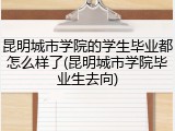 昆明城市学院的学生毕业都怎么样了(昆明城市学院毕业生去向)