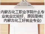 内蒙古化工职业学院什么专业就业比较好，原因是啥(内蒙古化工好就业专业)