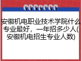 安徽机电职业技术学院什么专业最好，一年招多少人(安徽机电招生专业人数)
