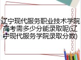 辽宁现代服务职业技术学院高考需多少分能录取呢(辽宁现代服务学院录取分数)