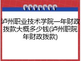 泸州职业技术学院一年财政拨款大概多少钱(泸州职院年财政拨款)