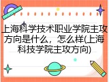上海科学技术职业学院主攻方向是什么，怎么样(上海科技学院主攻方向)
