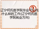 辽宁何氏医学院毕业可以找什么样的工作(辽宁何氏医学院就业方向)