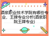 酒泉职业技术学院有哪些专业，王牌专业分析(酒泉职院王牌专业)