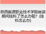 陕西能源职业技术学院就读期间挂科了怎么办呢？(挂科怎么办)