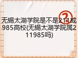 无锡太湖学院是不是211或985高校(无锡太湖学院属211985吗)