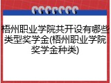 梧州职业学院共开设有哪些类型奖学金(梧州职业学院奖学金种类)