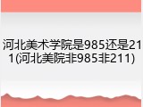 河北美术学院是985还是211(河北美院非985非211)