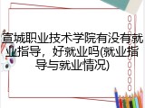 宣城职业技术学院有没有就业指导，好就业吗(就业指导与就业情况)