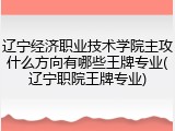 辽宁经济职业技术学院主攻什么方向有哪些王牌专业(辽宁职院王牌专业)