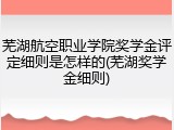 芜湖航空职业学院奖学金评定细则是怎样的(芜湖奖学金细则)
