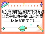 山东外贸职业学院开设有哪些奖学和助学金(山东外贸职院奖助学金)
