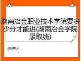 湖南冶金职业技术学院要多少分才能进(湖南冶金学院录取线)