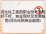 河北化工医药职业技术学院好不好，就业现状及发展趋势(河北化院就业趋势)